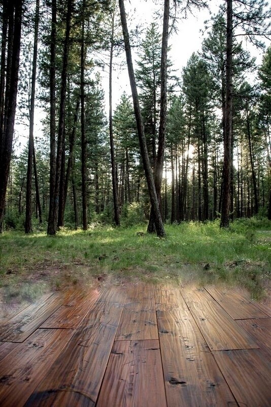 Environmental Benefits of Hardwood Flooring